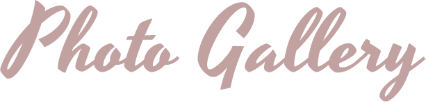 フォトギャラリー