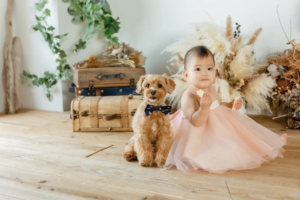ペット　犬　キッズ　フォト　写真　スタジオ