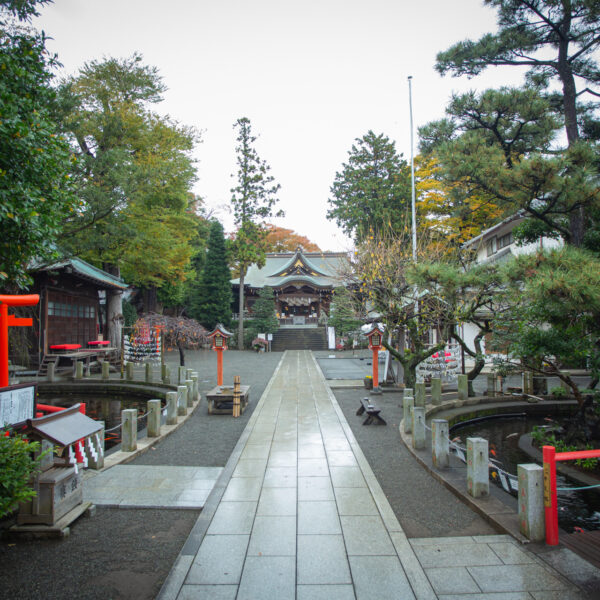 横浜で七五三参りをするならオススメの神社8選