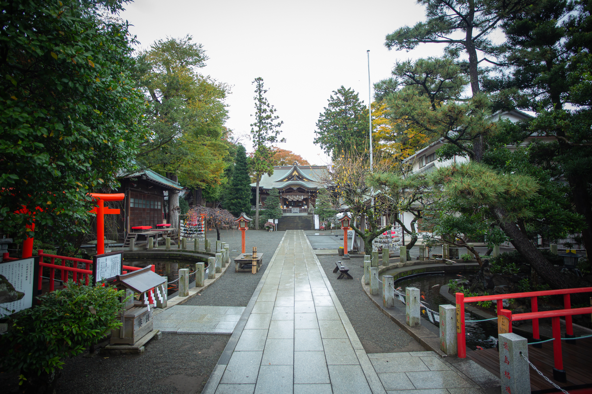横浜で七五三参りをするならオススメの神社8選